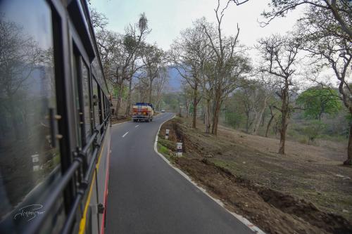 Mudumalai Tiger Reserve